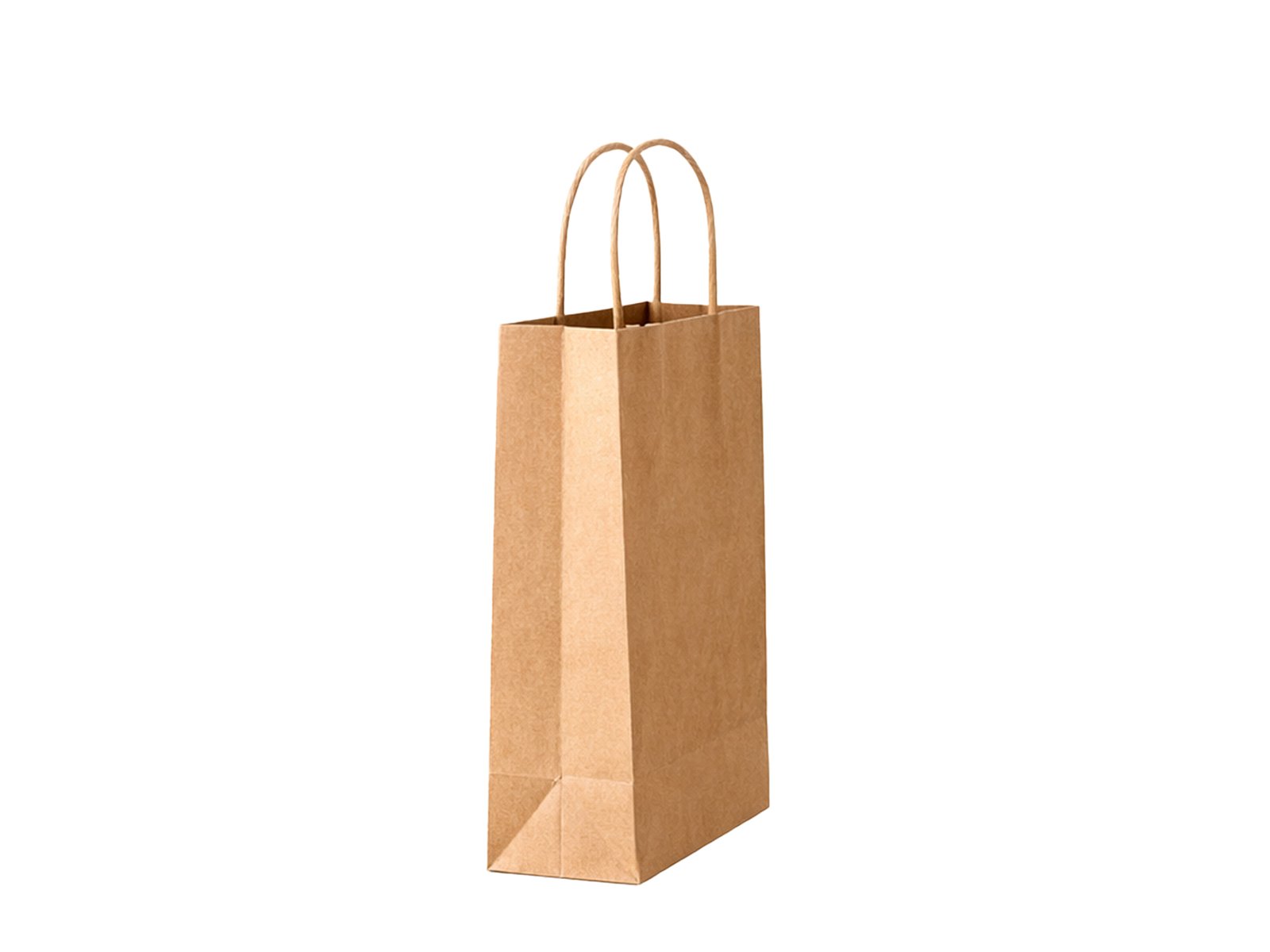 Eco-Friendly Pet Paper Shopping Bags - 图片 2