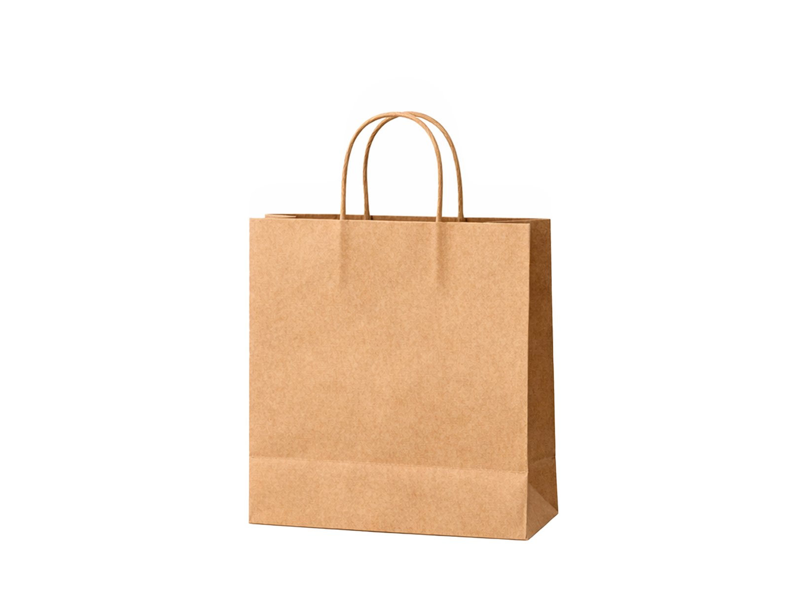 Eco-Friendly Pet Paper Shopping Bags - 图片 3